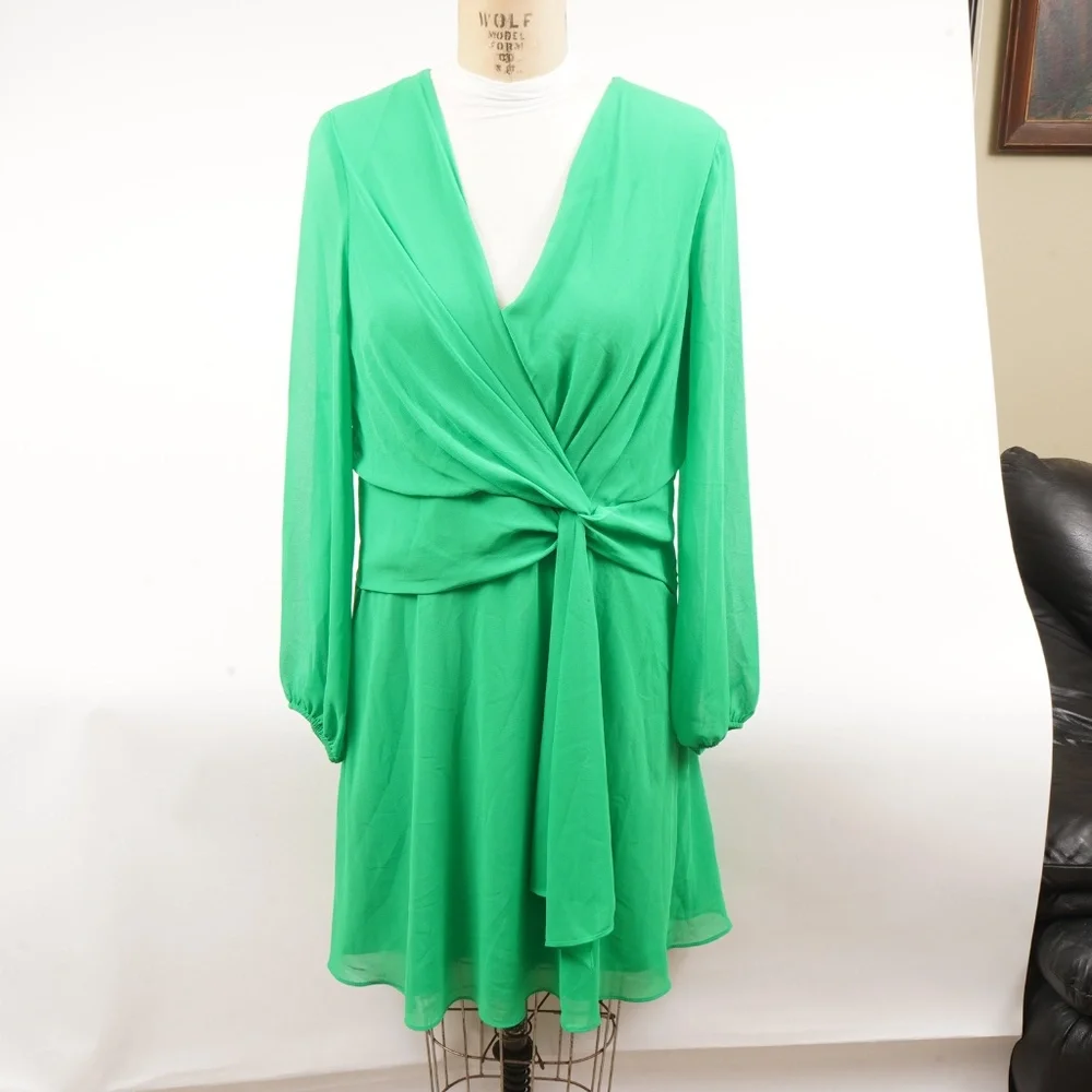 NWT Gorgeous $145 Lauren Ralph Lauren Green Light Long Sleeve Dress Size 10 - Picture 1 of 8